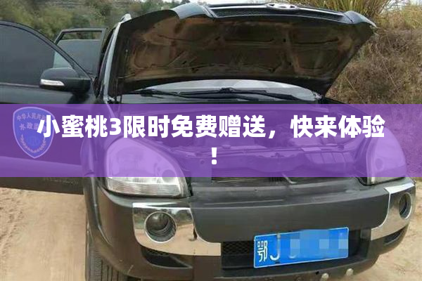 小蜜桃3限时免费赠送，快来体验！