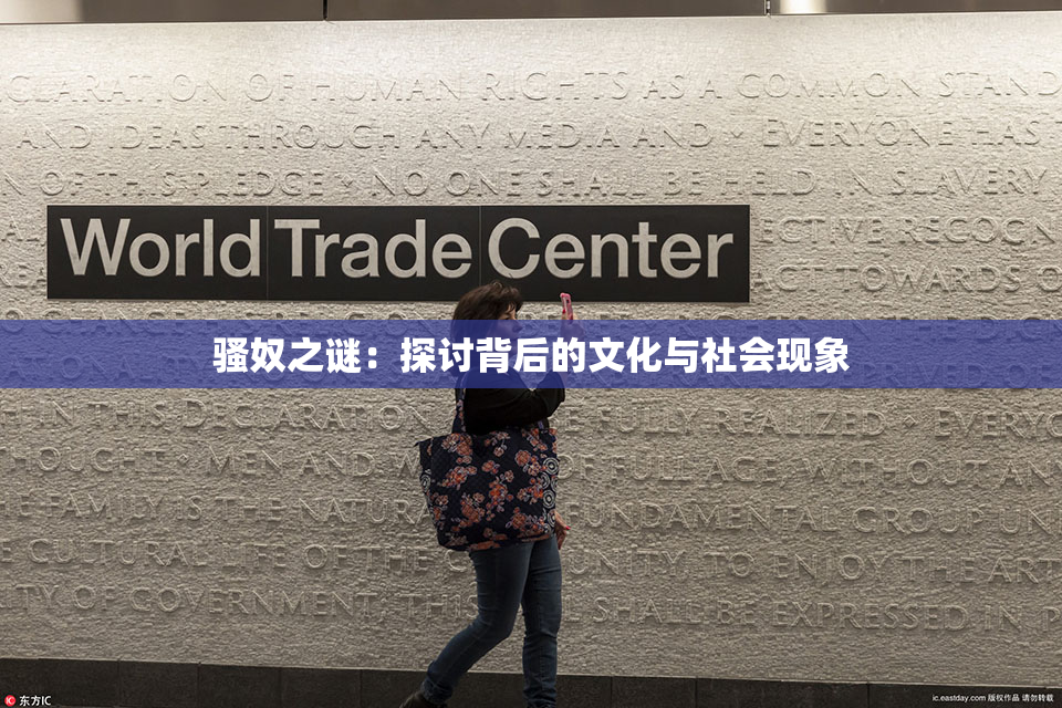 骚奴之谜：探讨背后的文化与社会现象
