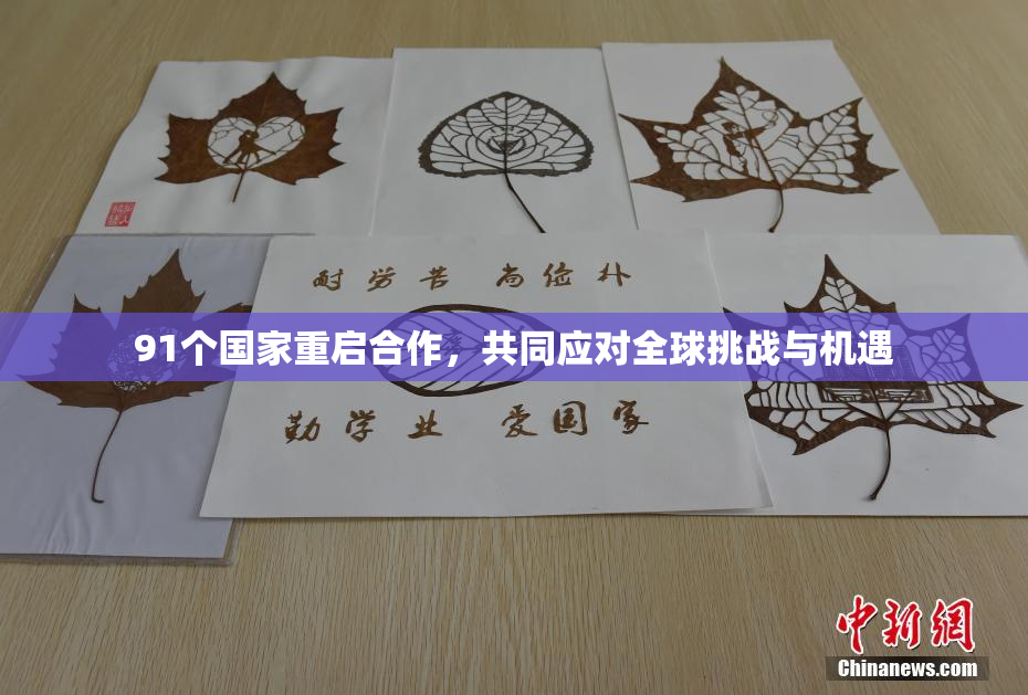 91个国家重启合作，共同应对全球挑战与机遇