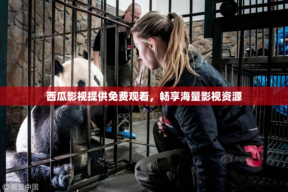 西瓜影视提供免费观看，畅享海量影视资源