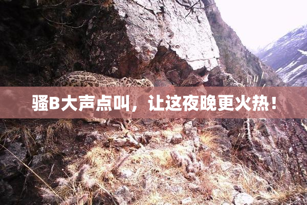 骚B大声点叫，让这夜晚更火热！