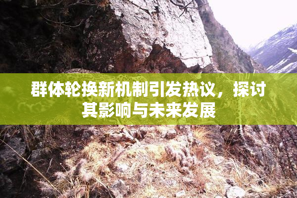 群体轮换新机制引发热议，探讨其影响与未来发展