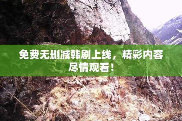 免费无删减韩剧上线，精彩内容尽情观看！