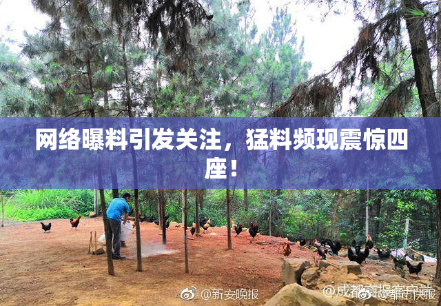 网络曝料引发关注，猛料频现震惊四座！