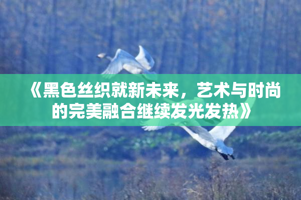 《黑色丝织就新未来，艺术与时尚的完美融合继续发光发热》