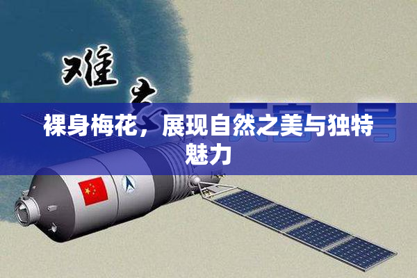 裸身梅花，展现自然之美与独特魅力