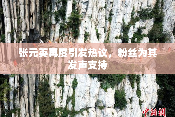 张元英再度引发热议，粉丝为其发声支持
