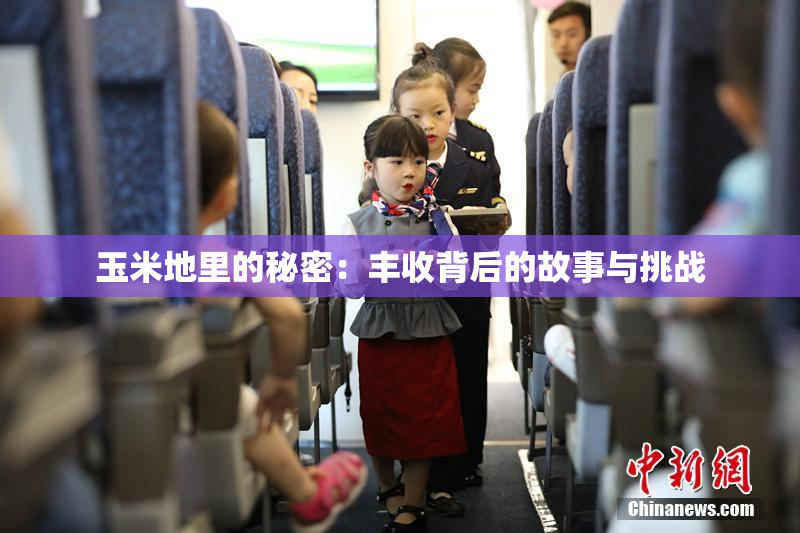 玉米地里的秘密：丰收背后的故事与挑战