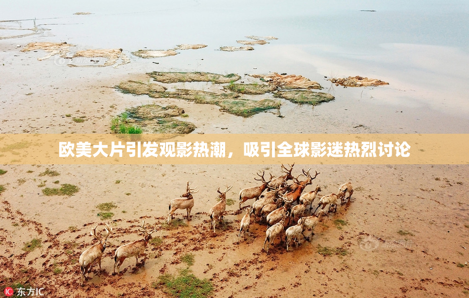 欧美大片引发观影热潮，吸引全球影迷热烈讨论