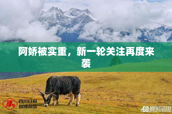 阿娇被实重，新一轮关注再度来袭