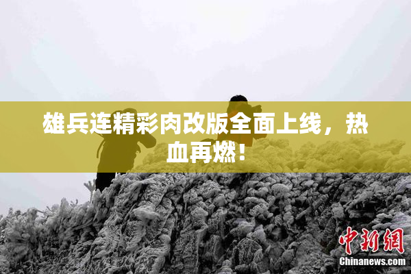 雄兵连精彩肉改版全面上线，热血再燃！