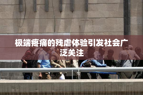 极端疼痛的残虐体验引发社会广泛关注