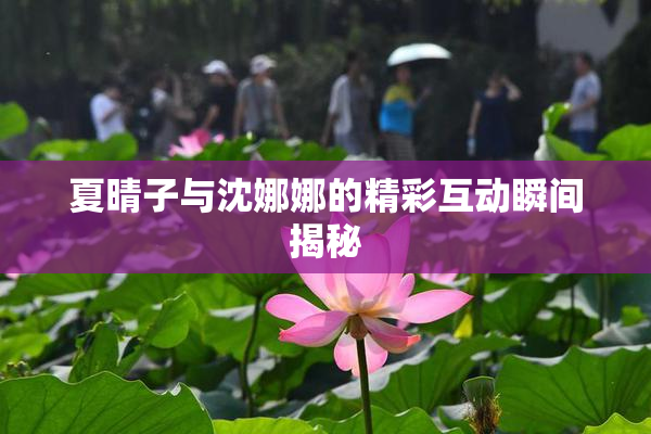 夏晴子与沈娜娜的精彩互动瞬间揭秘