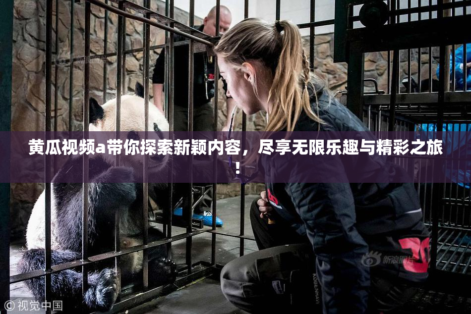 黄瓜视频a带你探索新颖内容，尽享无限乐趣与精彩之旅！