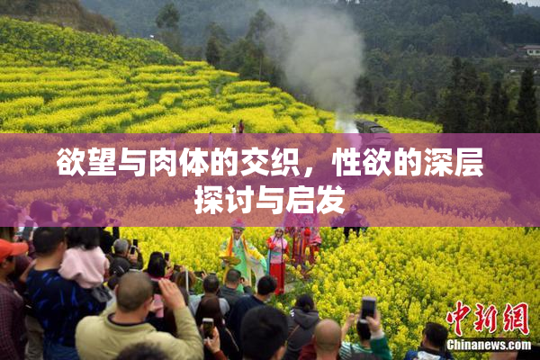 欲望与肉体的交织，性欲的深层探讨与启发