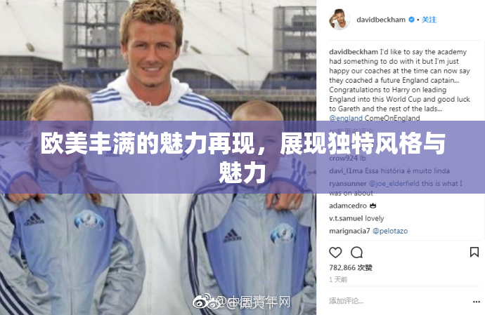欧美丰满的魅力再现，展现独特风格与魅力