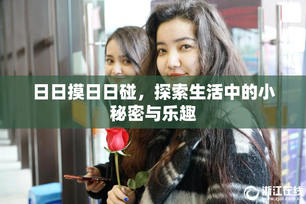 日日摸日日碰，探索生活中的小秘密与乐趣