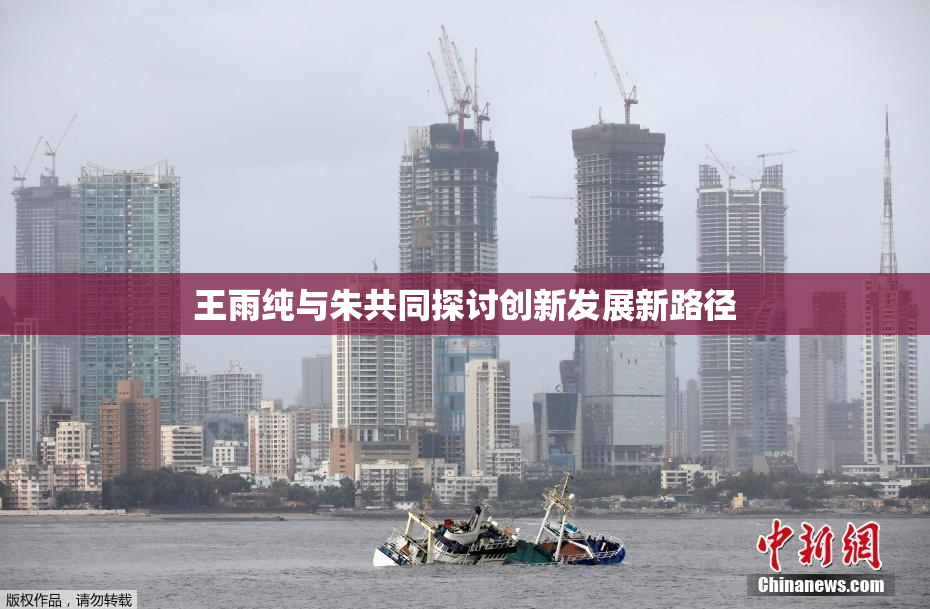 王雨纯与朱共同探讨创新发展新路径
