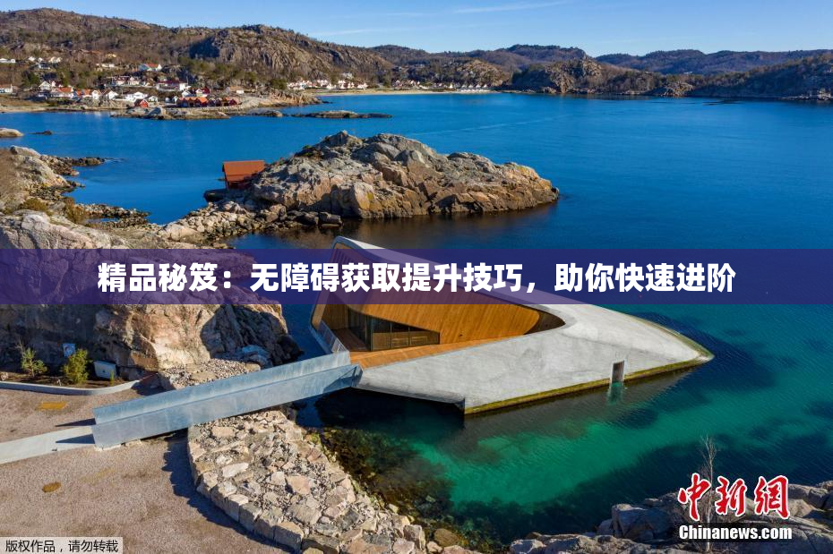 精品秘笈：无障碍获取提升技巧，助你快速进阶