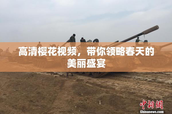 高清樱花视频，带你领略春天的美丽盛宴