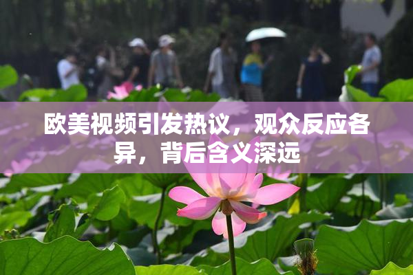 欧美视频引发热议，观众反应各异，背后含义深远