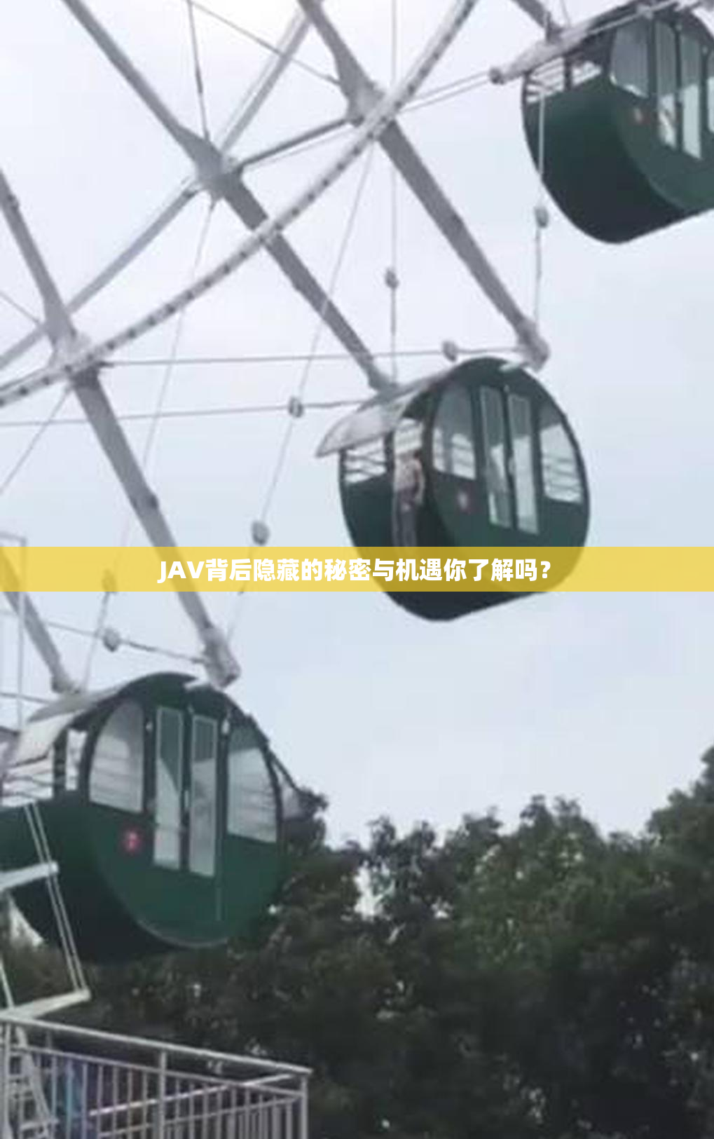 JAV背后隐藏的秘密与机遇你了解吗？