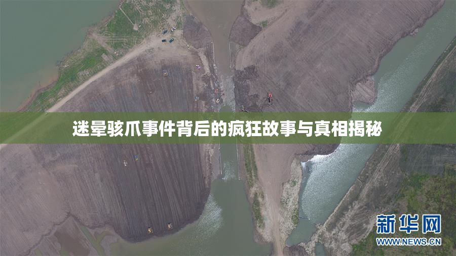 迷晕骇爪事件背后的疯狂故事与真相揭秘
