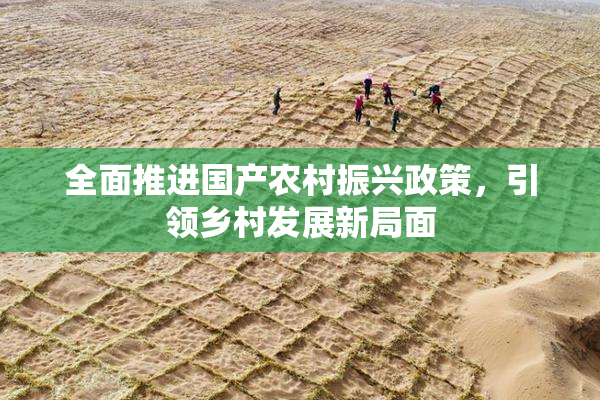 全面推进国产农村振兴政策，引领乡村发展新局面
