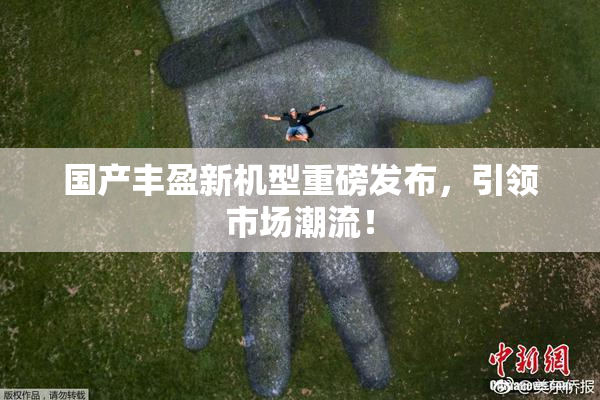 国产丰盈新机型重磅发布，引领市场潮流！