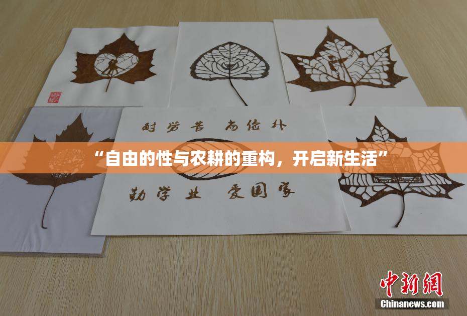 “自由的性与农耕的重构，开启新生活”