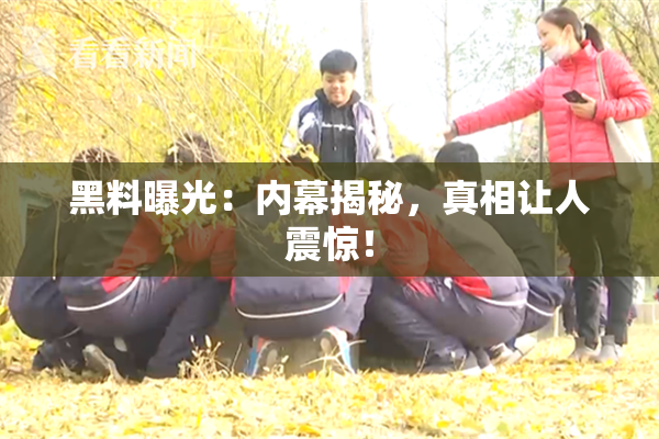 黑料曝光：内幕揭秘，真相让人震惊！