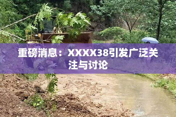重磅消息：XXXX38引发广泛关注与讨论