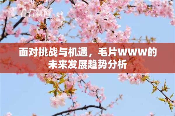 面对挑战与机遇，毛片WWW的未来发展趋势分析
