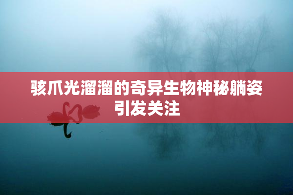 骇爪光溜溜的奇异生物神秘躺姿引发关注