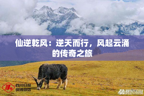 仙逆乾风：逆天而行，风起云涌的传奇之旅