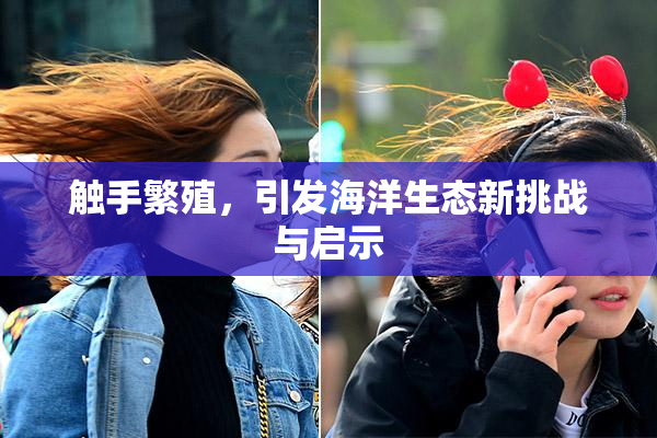 触手繁殖，引发海洋生态新挑战与启示