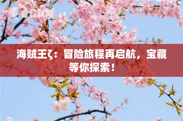 海贼王ζ：冒险旅程再启航，宝藏等你探索！