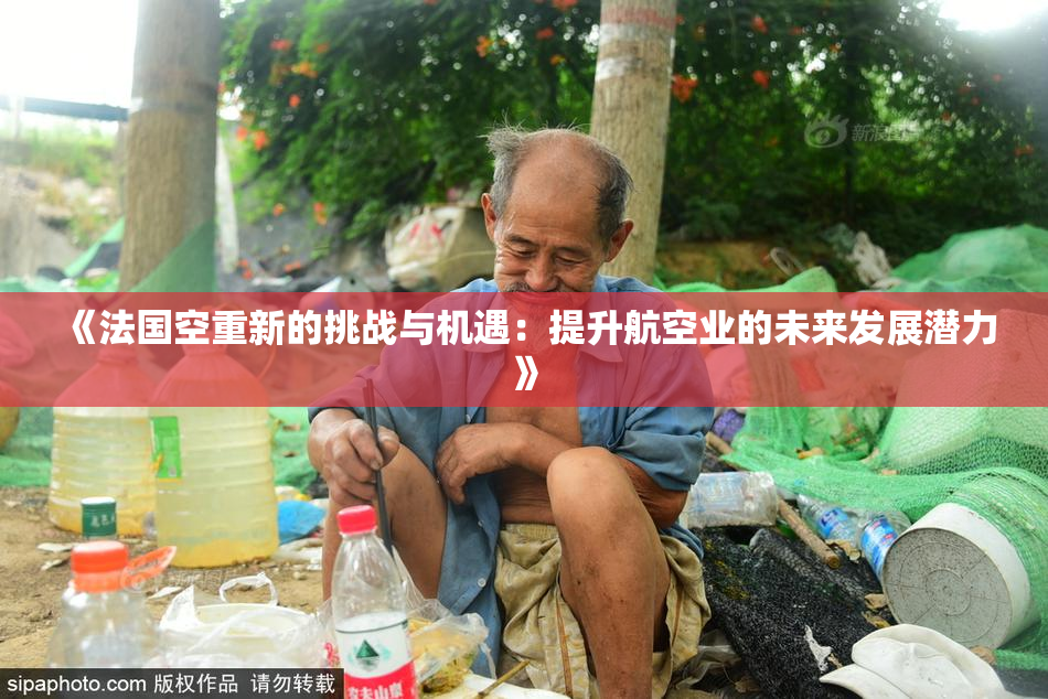 《法国空重新的挑战与机遇：提升航空业的未来发展潜力》