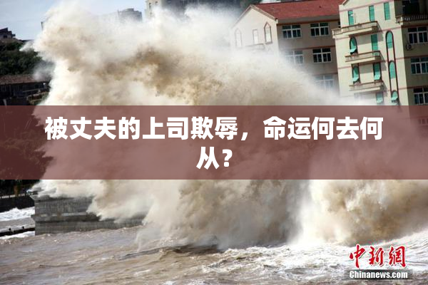 被丈夫的上司欺辱，命运何去何从？