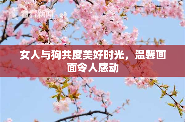 女人与狗共度美好时光，温馨画面令人感动