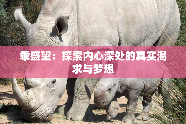 乖盛望：探索内心深处的真实渴求与梦想