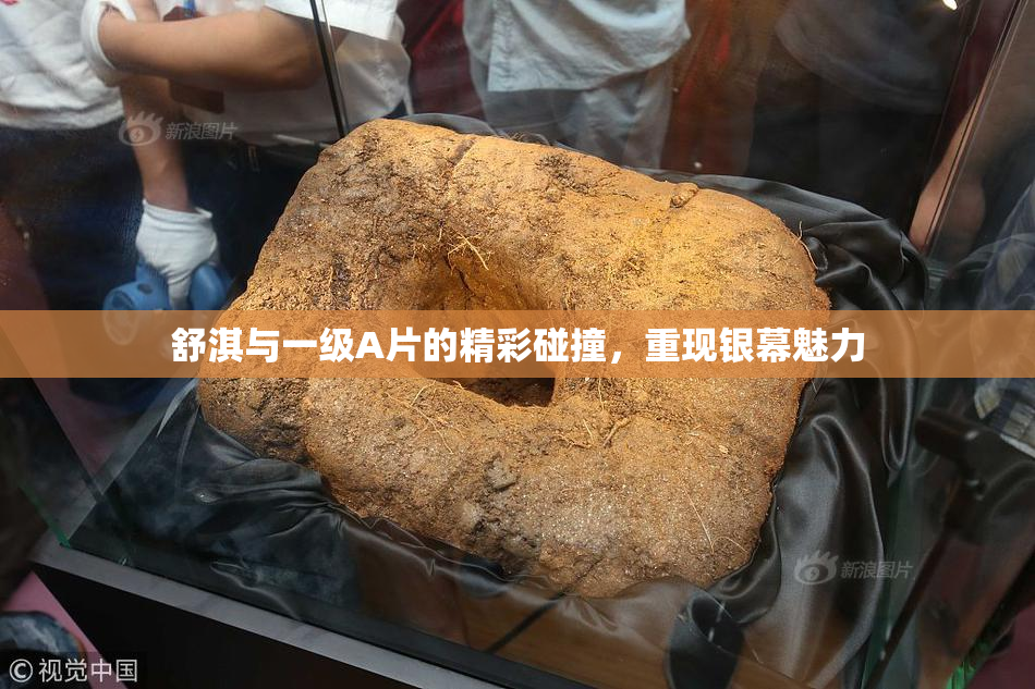 舒淇与一级A片的精彩碰撞，重现银幕魅力