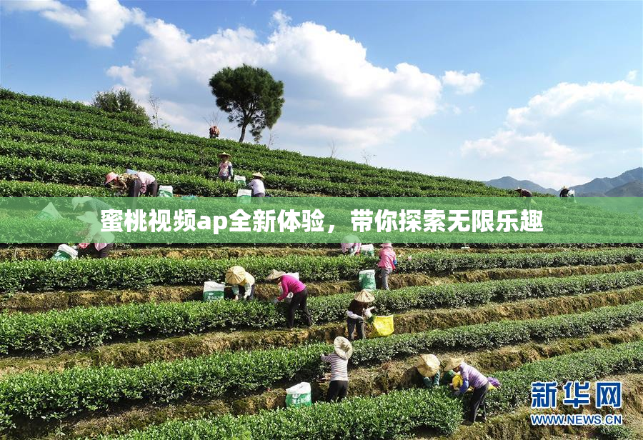蜜桃视频ap全新体验，带你探索无限乐趣