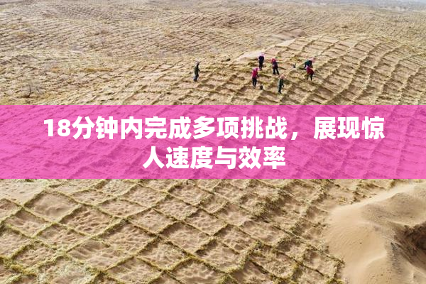 18分钟内完成多项挑战，展现惊人速度与效率