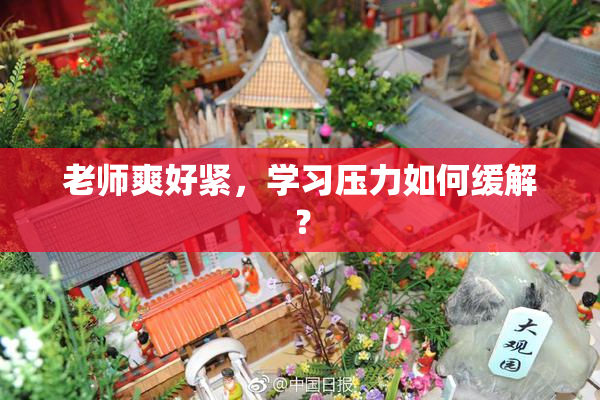 老师爽好紧，学习压力如何缓解？