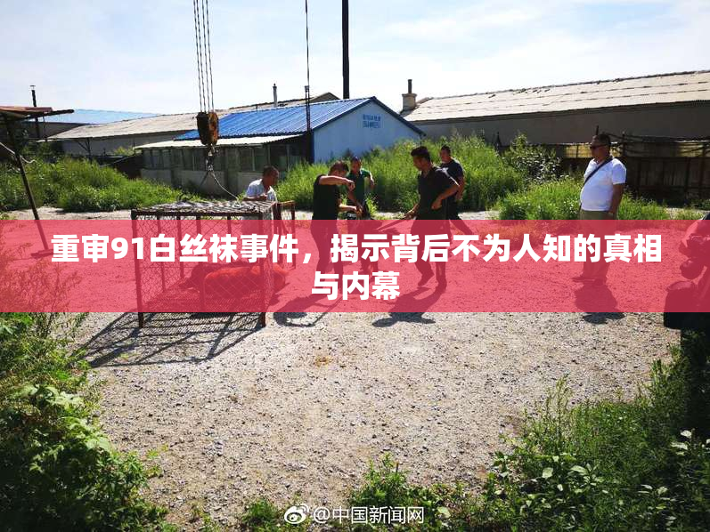 重审91白丝袜事件，揭示背后不为人知的真相与内幕