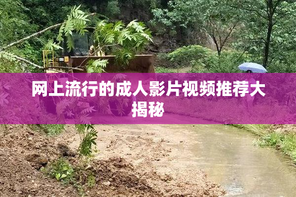 网上流行的成人影片视频推荐大揭秘