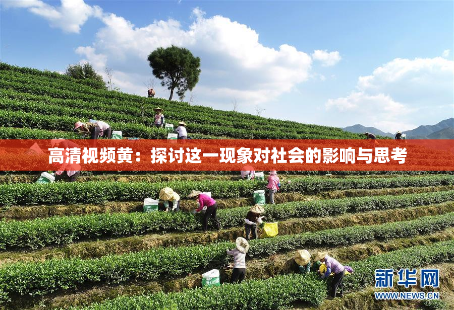 高清视频黄：探讨这一现象对社会的影响与思考