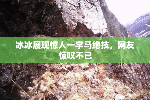 冰冰展现惊人一字马绝技，网友惊叹不已