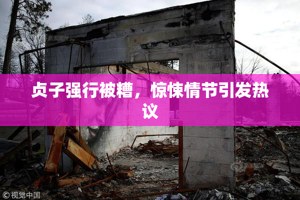 贞子强行被糟，惊悚情节引发热议